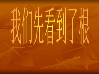 我们先看到了根