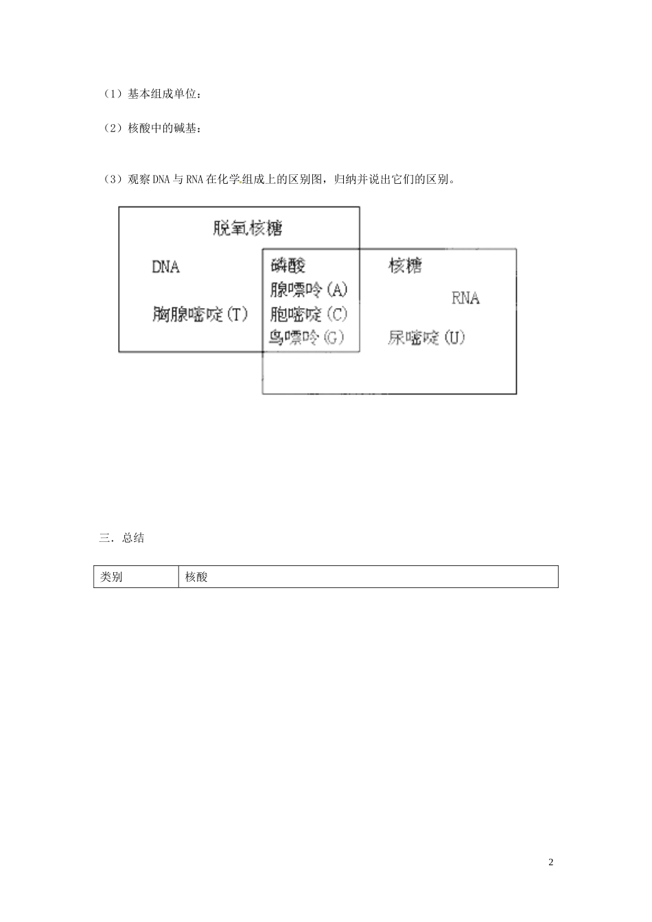 海南省海口市第十四中学高中生物 第二章第3节 遗传信息的携带者 核酸导学案 人教版_第2页