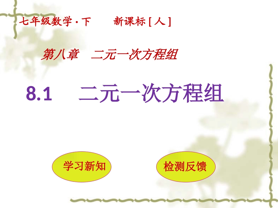 二元一次方程组-(2)_第1页