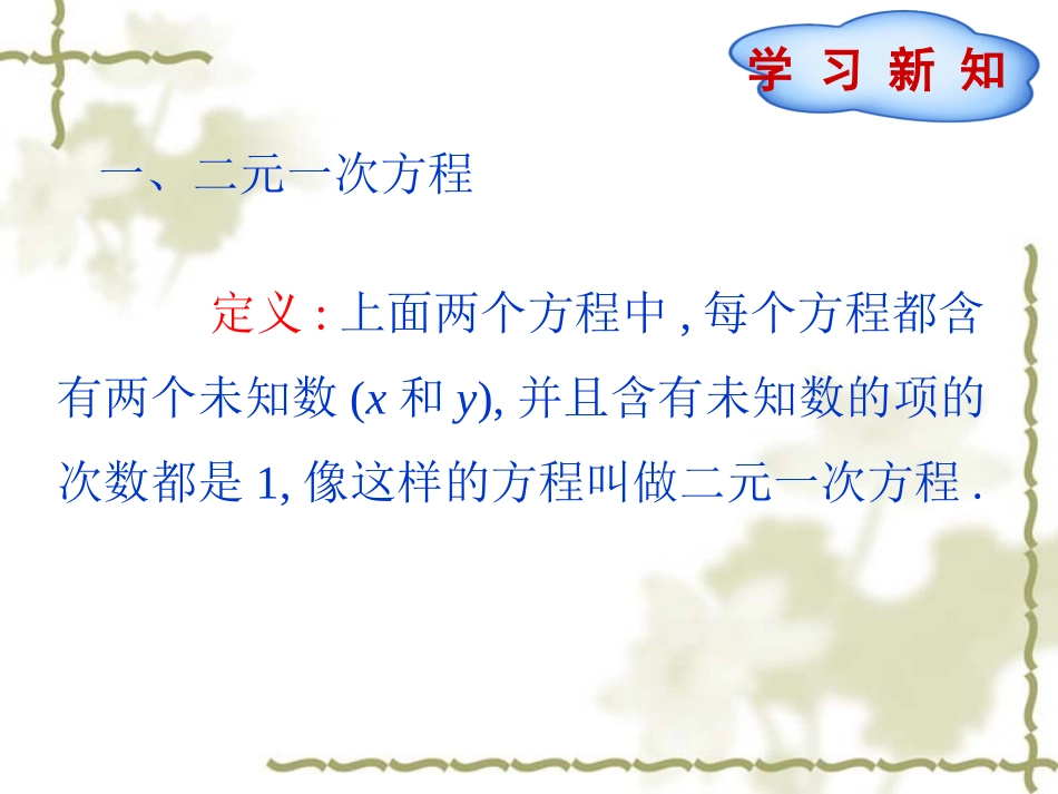 二元一次方程组-(2)_第3页