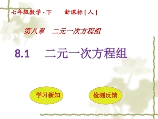 二元一次方程组-(2)