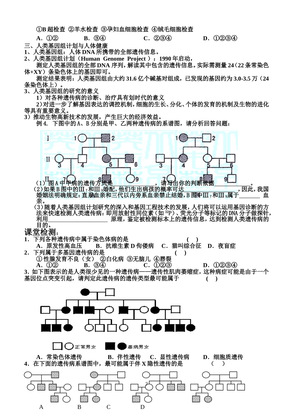 基因突变及其他变异3_第2页