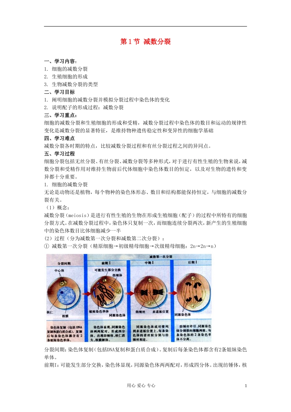 江苏淮阴中学高中生物《减数分裂》学案11 苏教版必修2_第1页