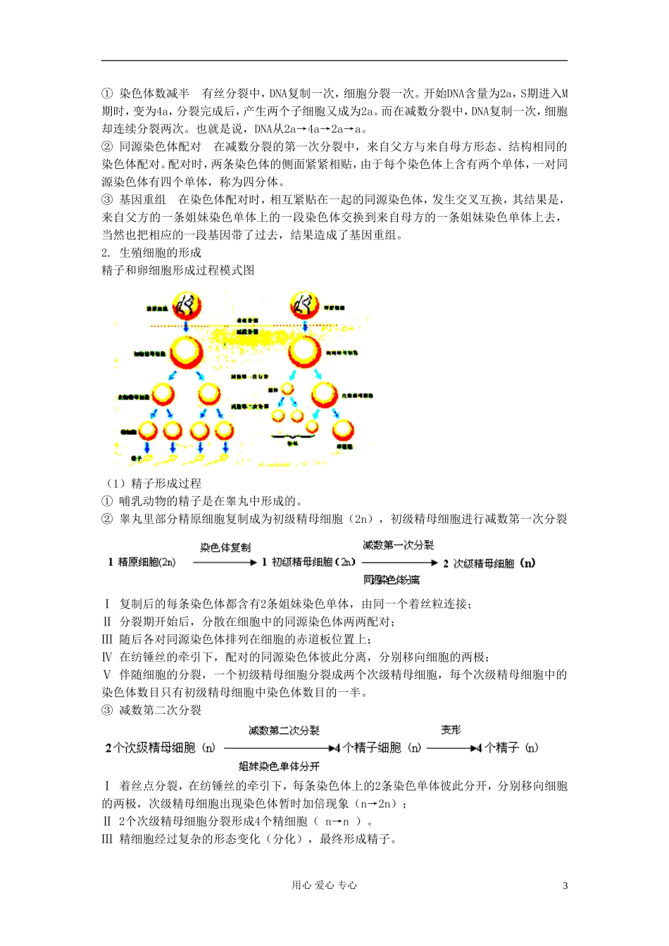 江苏淮阴中学高中生物《减数分裂》学案11 苏教版必修2_第3页