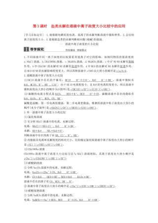 高中化学 第三章 水溶液中的离子平衡 第三节 盐类的水解（第3课时）导学案 新人教版选修4-新人教版高二选修4化学学案