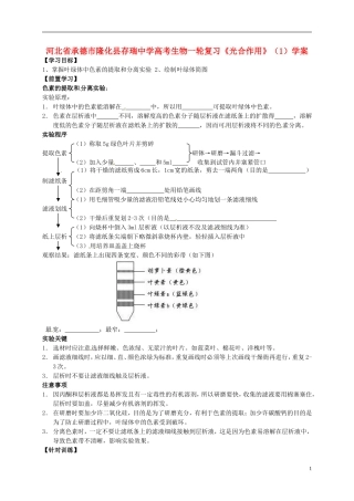 河北省承德市隆化县存瑞中学高考生物一轮复习《光合作用》（1）学案