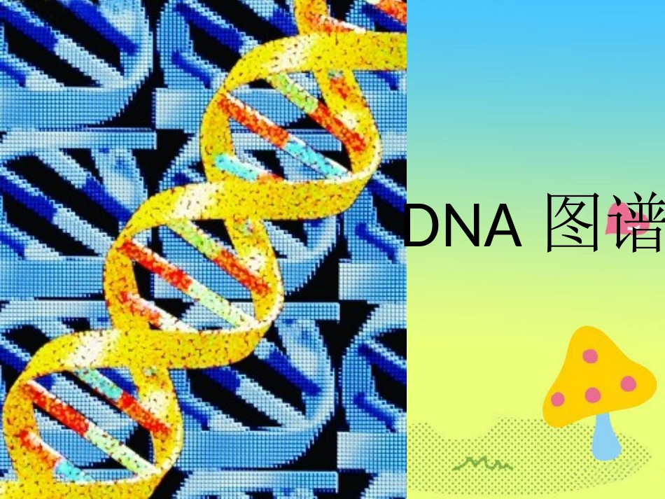 《让科学技术走进生活》课件1_第3页