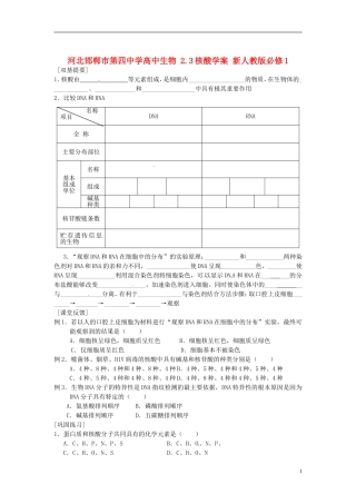 河北邯郸市第四中学高中生物 2.3核酸学案 新人教版必修1