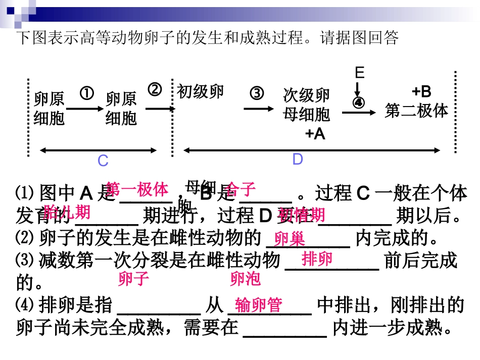 胚胎工程的主要技术_第1页