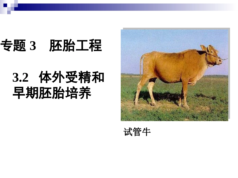 胚胎工程的主要技术_第3页