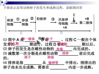 胚胎工程的主要技术