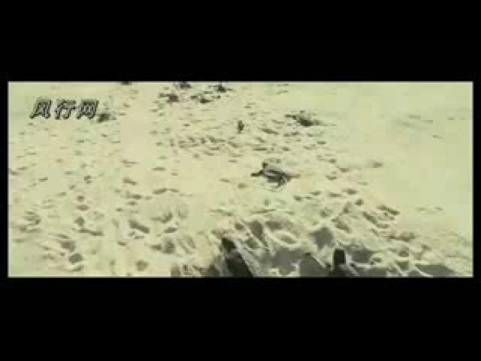 自然之道(第二课时)_第2页