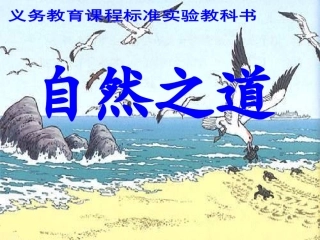 自然之道(第二课时)