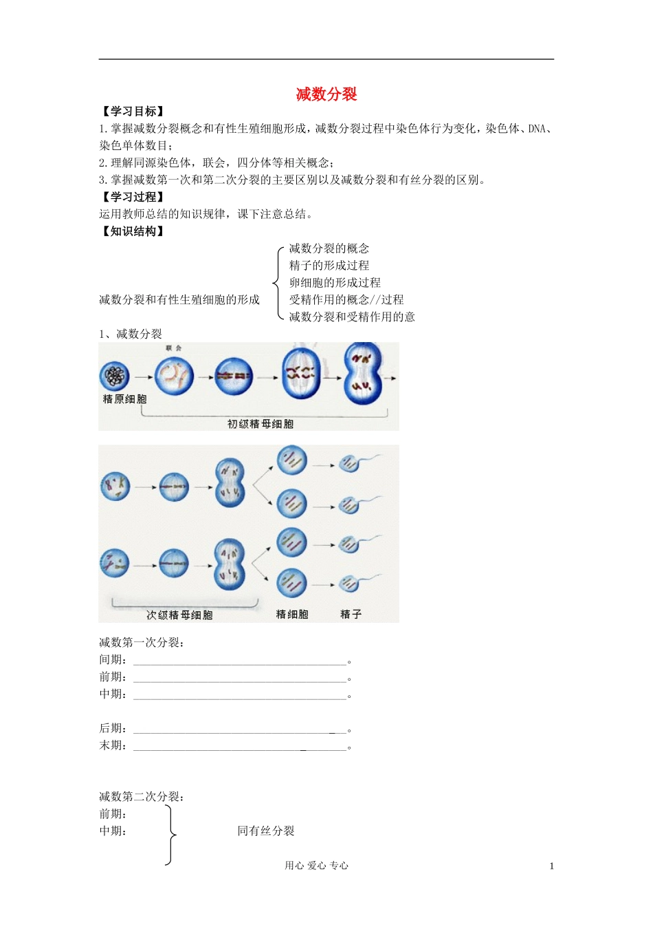 江苏淮阴中学高中生物《减数分裂》学案7 苏教版必修2_第1页