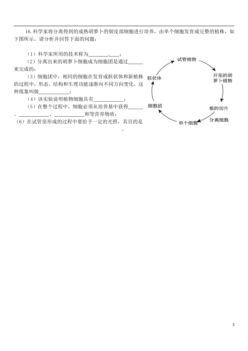 河南省安阳市滑县教师进修学校高中生物 第2节 细胞的分化学案 新人教版必修1_第3页