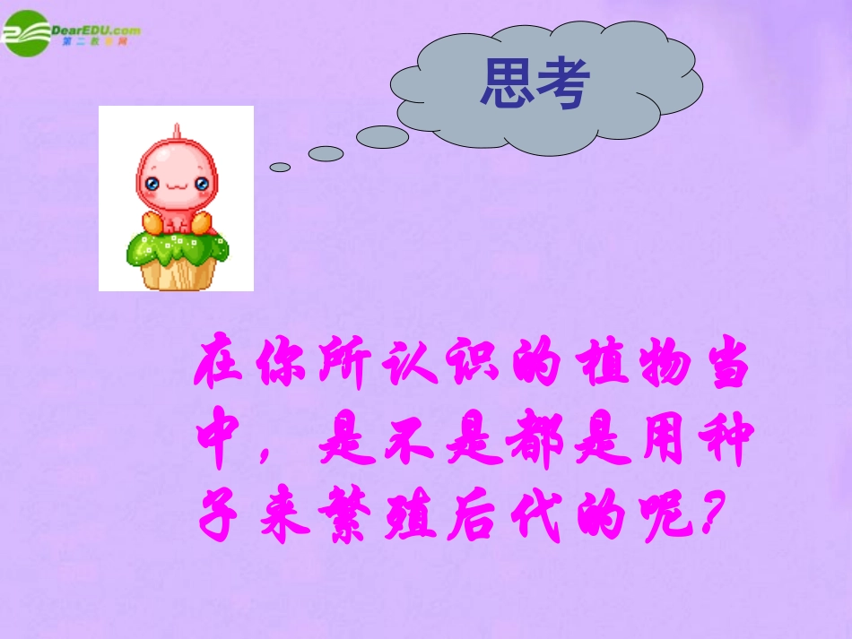 科学：第六章第2节植物的主要类群（华师大版七年级上）_第2页