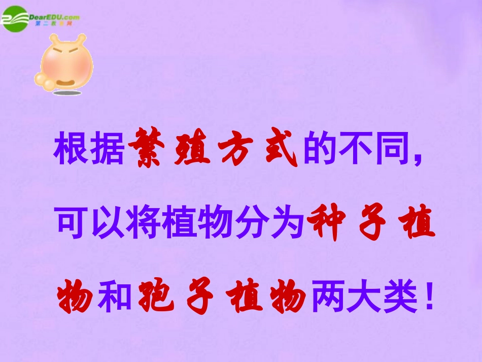 科学：第六章第2节植物的主要类群（华师大版七年级上）_第3页