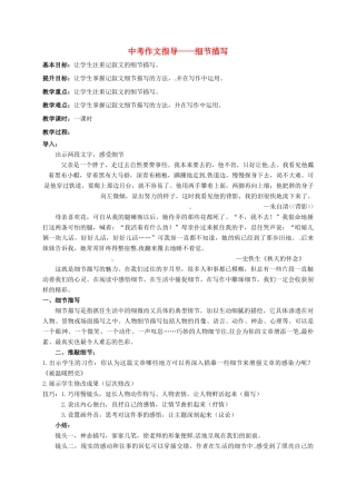 江苏省句容市中考语文 作文指导——细节描写教案-人教版初中九年级全册语文教案