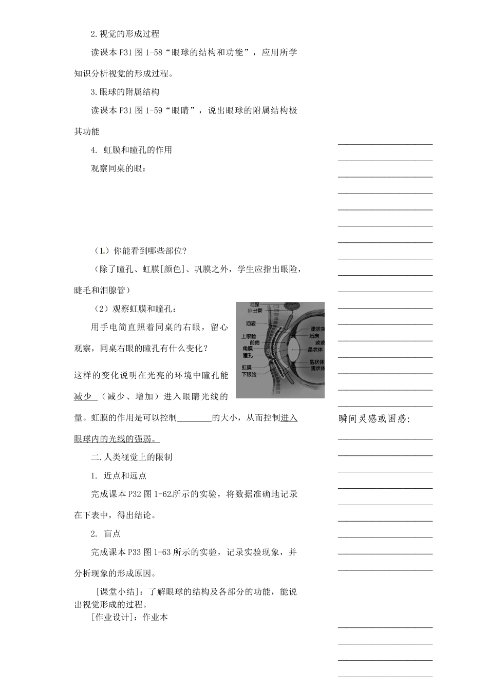 浙江省温州市瓯海区实验中学七年级科学下册《1.6眼和视觉》教案三 浙教版_第2页