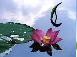 第四单元说课幻灯片