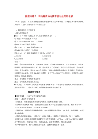 高中化学 第3章 物质在水溶液中的行为 微型专题5学案 鲁科版选修4-鲁科版高二选修4化学学案