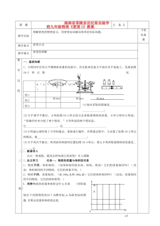 湖南省茶陵县世纪星实验学校九年级物理《密度1》教案