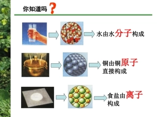 第三单元-人类对原子结构的认识