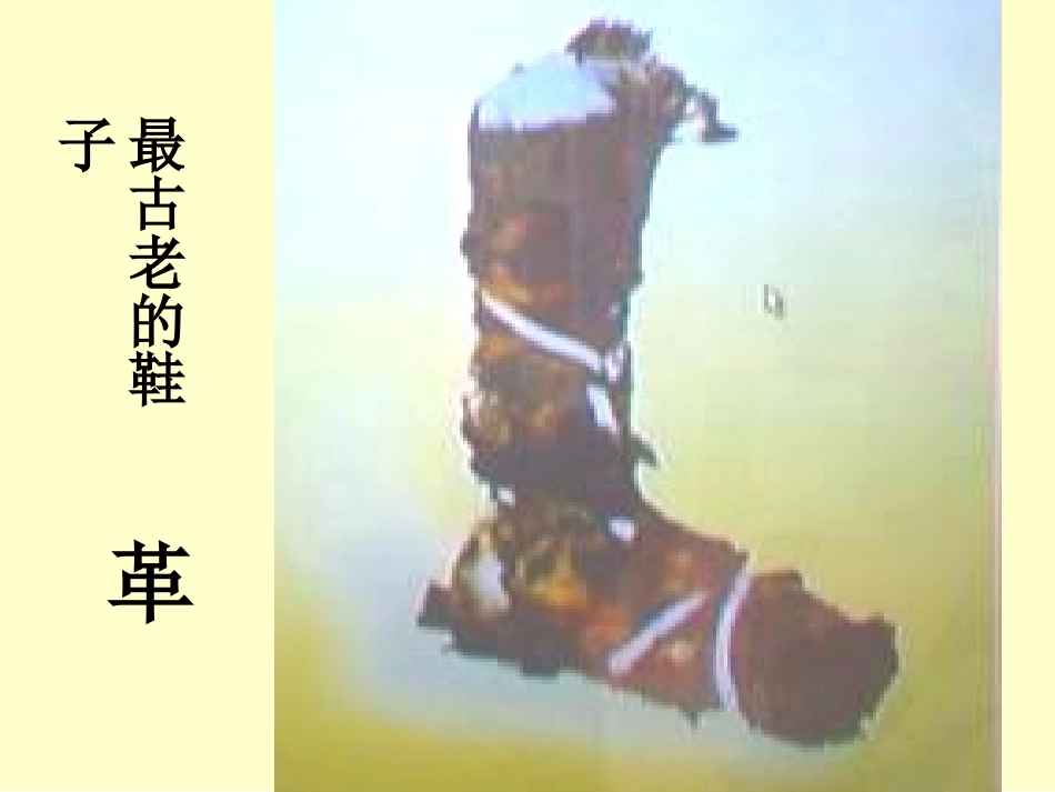 人美版小学三年级美术上册《各种各样的鞋》课件_第3页