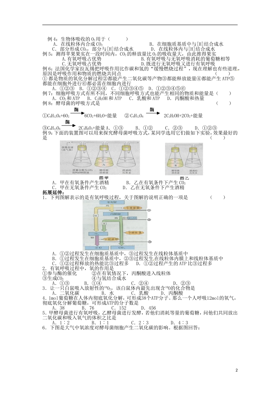 河北省邯郸四中高二生物《5.3、5.4光合呼吸》学案_第2页