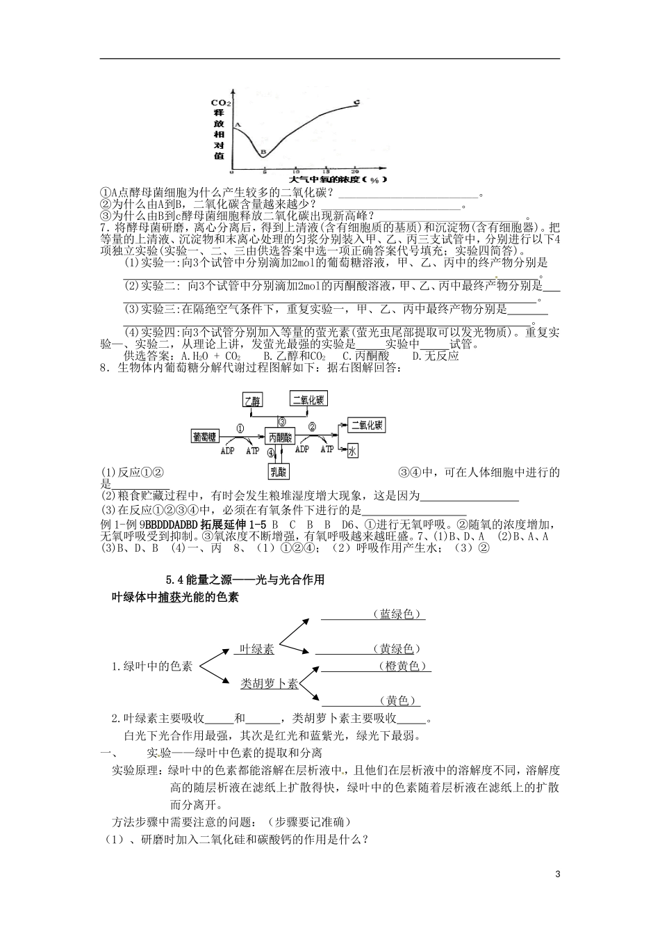 河北省邯郸四中高二生物《5.3、5.4光合呼吸》学案_第3页