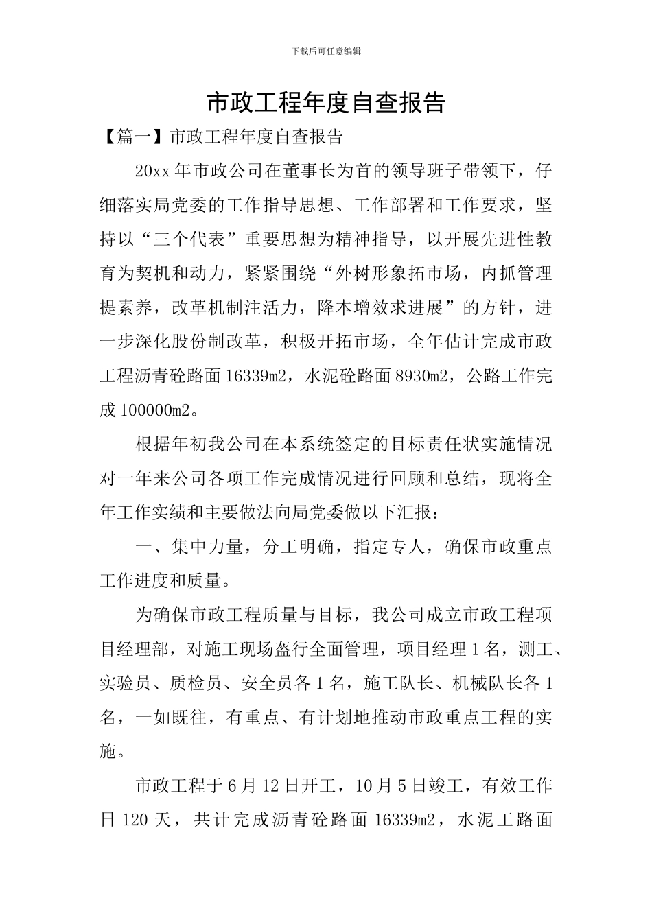 市政工程年度自查报告_第1页