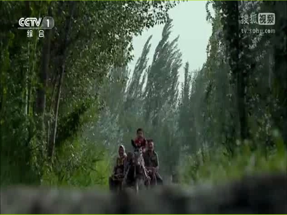 课题1-人类重要的营养物质-(2)_第2页