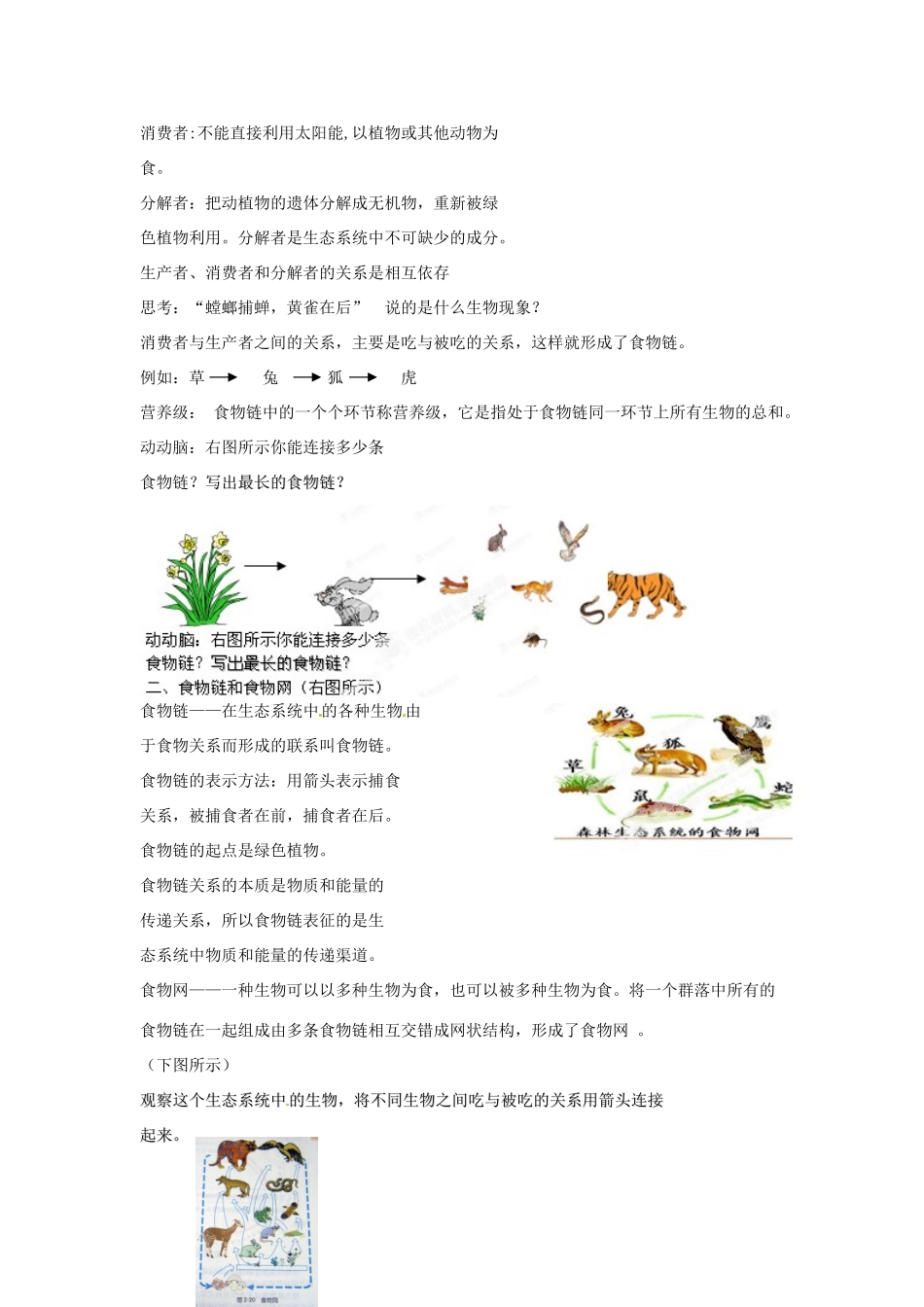 浙江省温岭市城南中学九年级科学下册《2.2 生态系统（第二课时）》教案 浙教版_第3页
