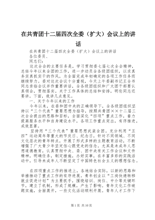 在共青团十二届四次全委（扩大）会议上的讲话发言