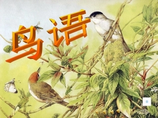 《鸟语》课件