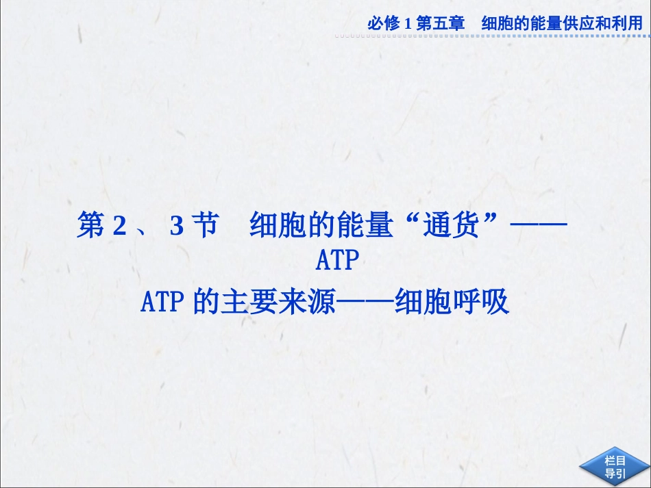 ATP细胞呼吸_第1页