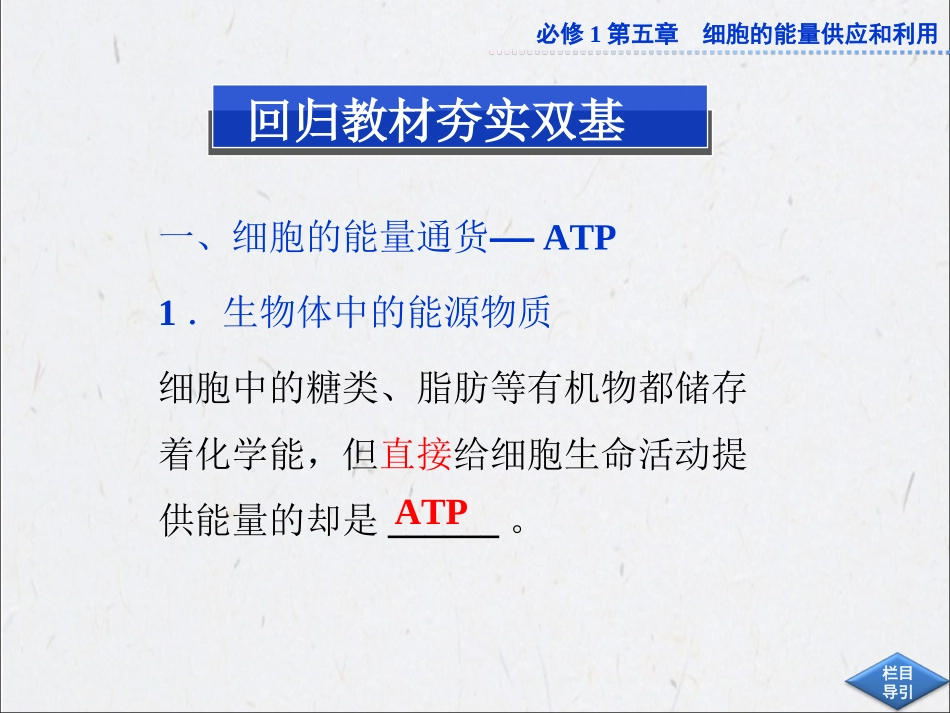 ATP细胞呼吸_第2页