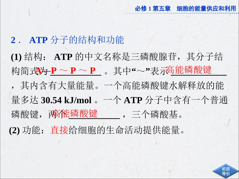 ATP细胞呼吸_第3页