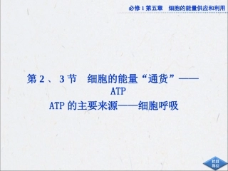 ATP细胞呼吸