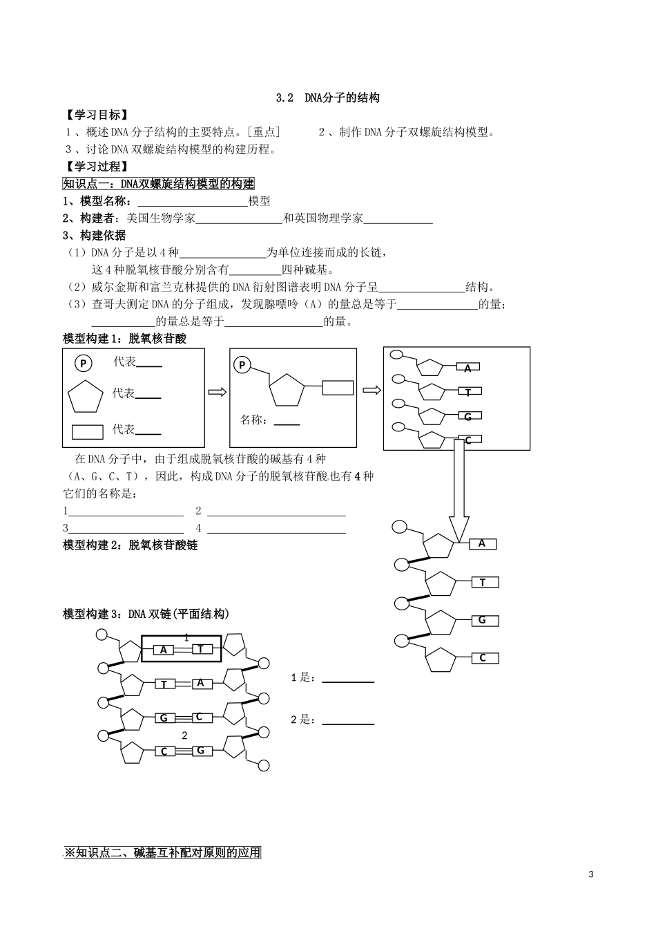 广东省化州市实验中学高中生物 3.1-3.2 DNA是主要的遗传物质、DNA分子的结构学案 新人教版必修2_第3页