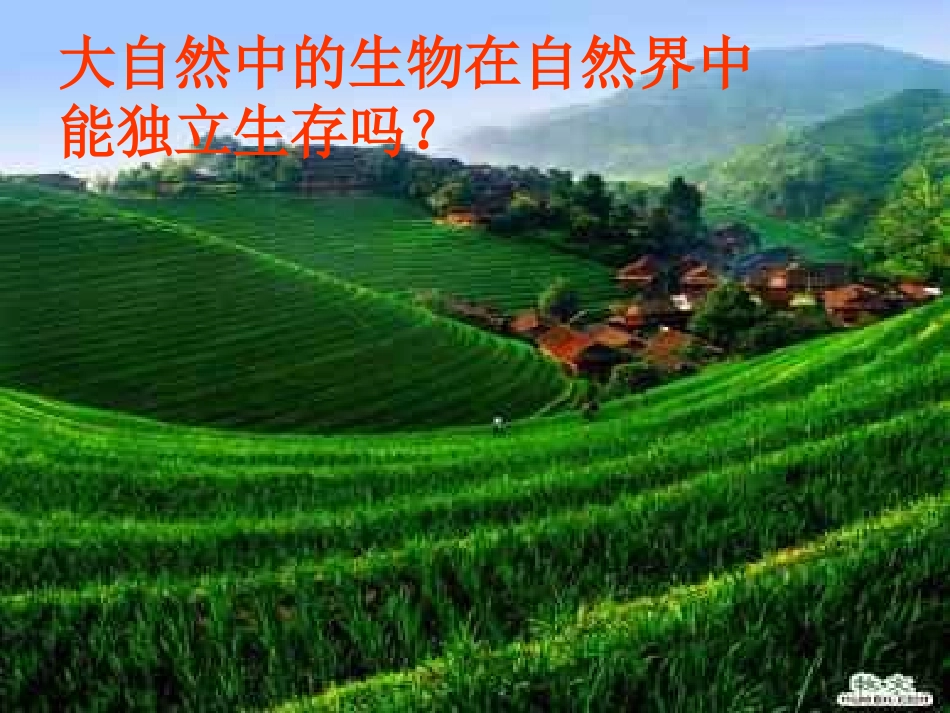 科学：第八章第1节种群和群落（华师大版七年级上）_第3页