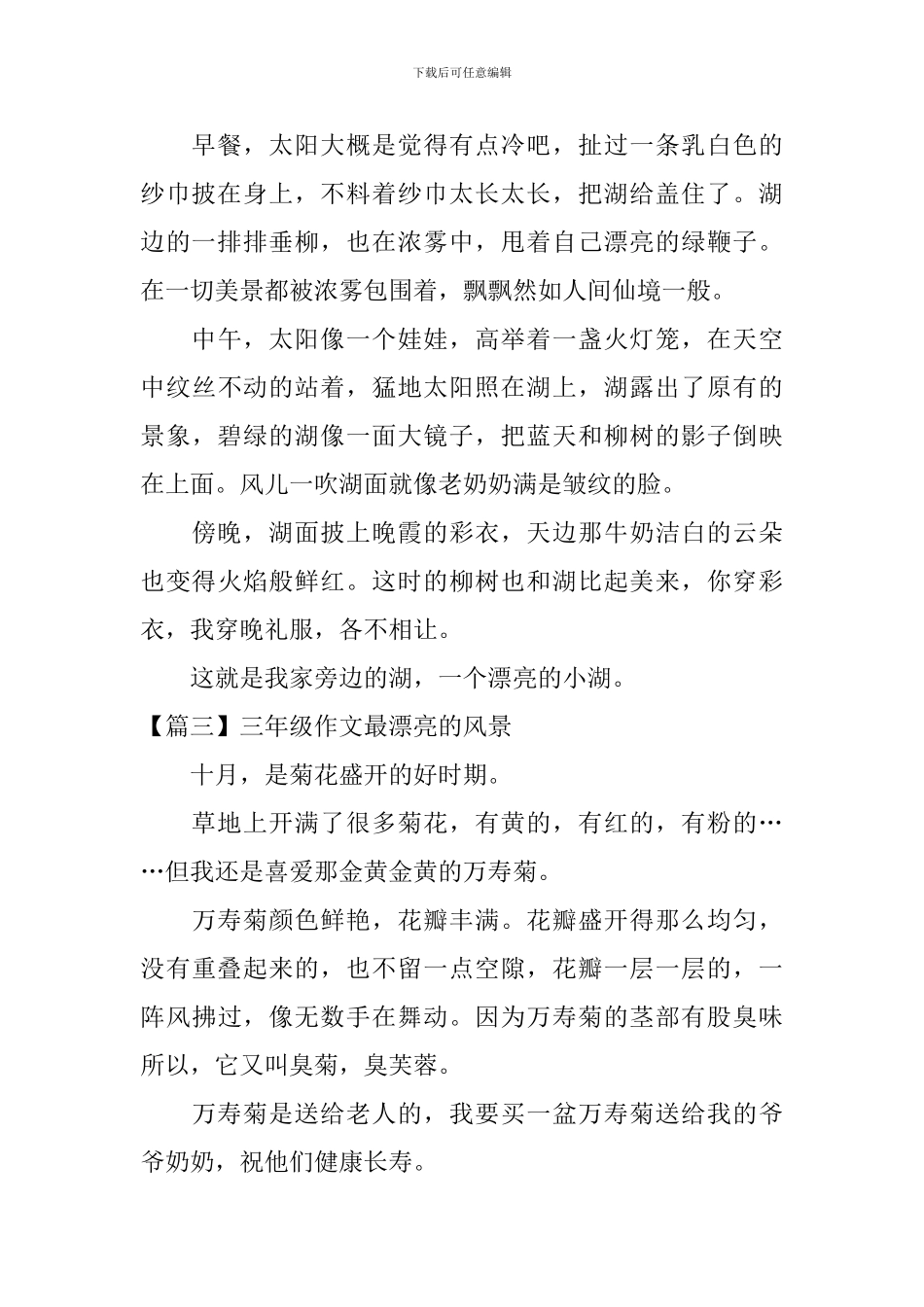 三年级作文最美丽的风景_第2页