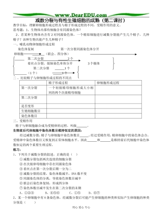 减数分裂第二课时