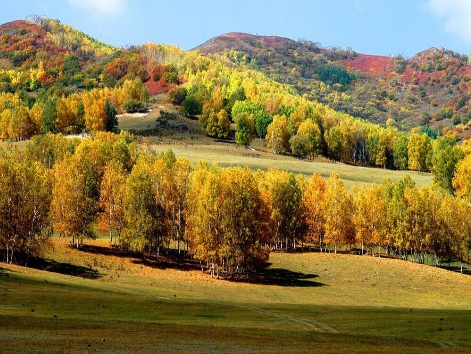 三年级留住秋天_第3页