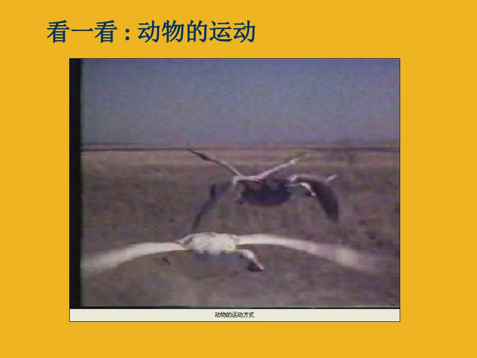 八年级科学上册 2.2人和动物的运动状态改变课件1 华师大版_第2页