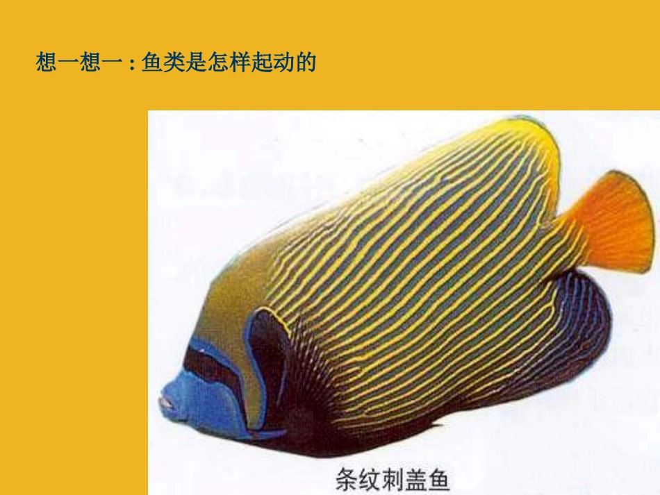 八年级科学上册 2.2人和动物的运动状态改变课件1 华师大版_第3页