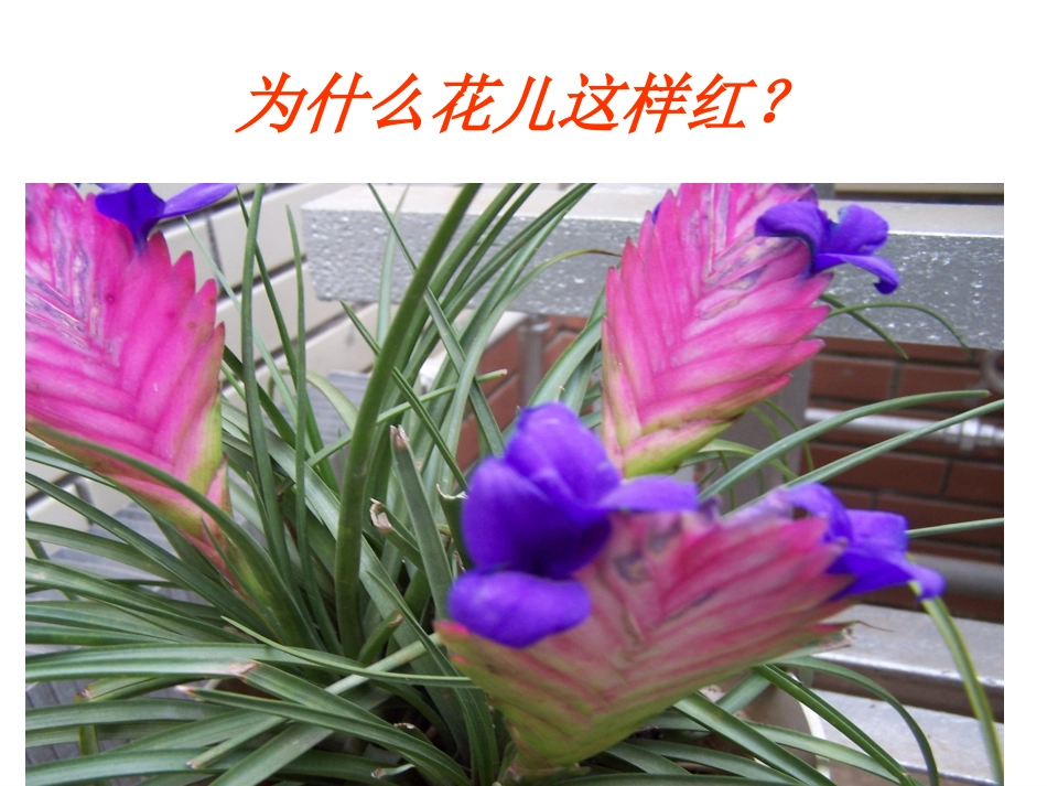 4.4光的色散_第3页