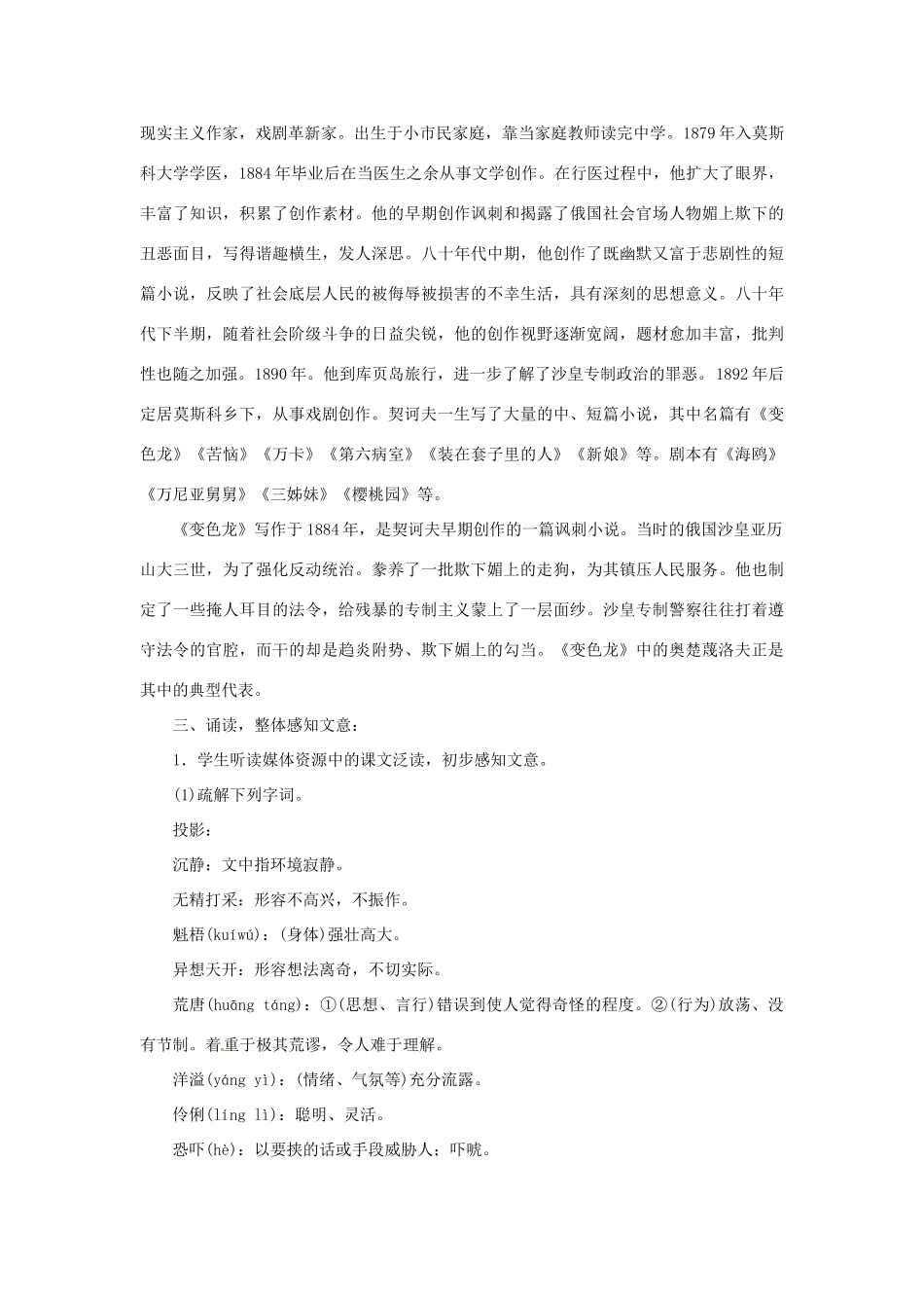 山东省曲阜市陵城镇中学九年级语文《变色龙》课时教案（1）_第2页