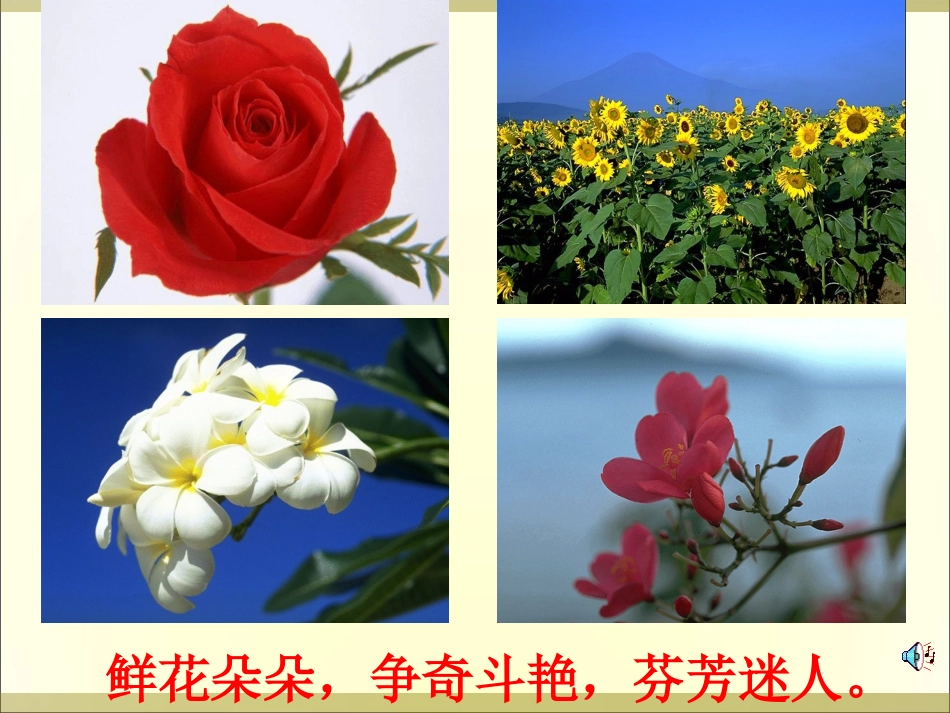 三年级语文《花钟》_第2页