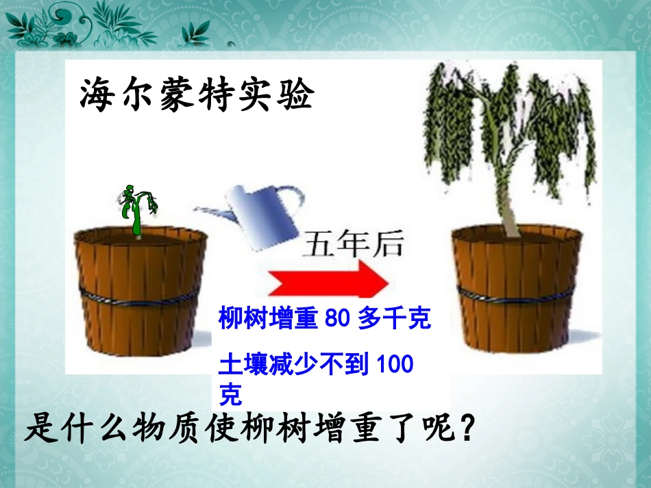 光合作用吸收二氧化碳释放氧气_第2页